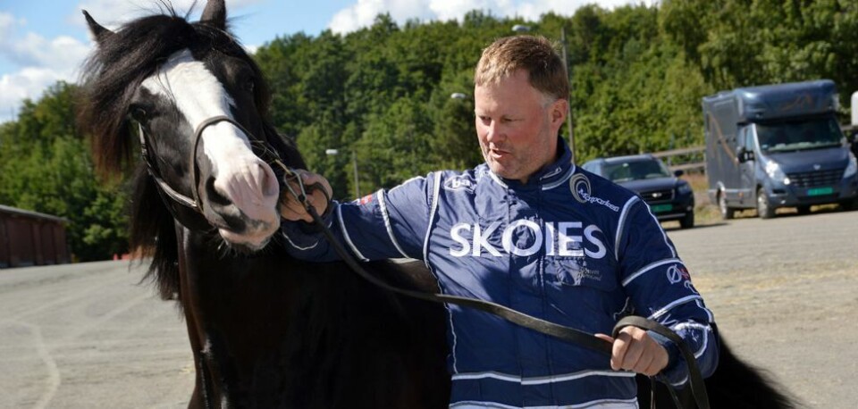 - Har den beste hesten