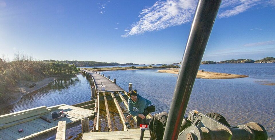 Fornyer tredekket på deler av strandstien