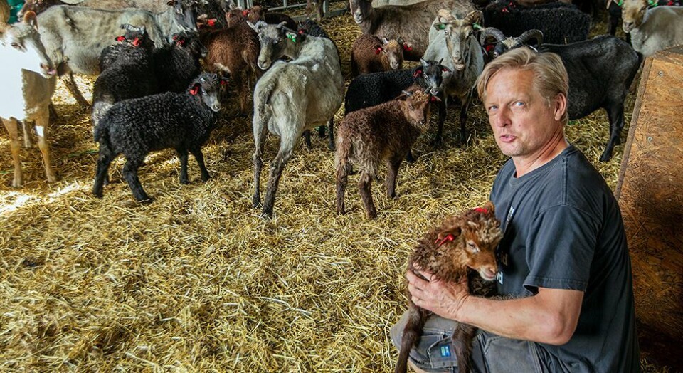 Gro Bråten (Ap) blir ny fylkesordfører