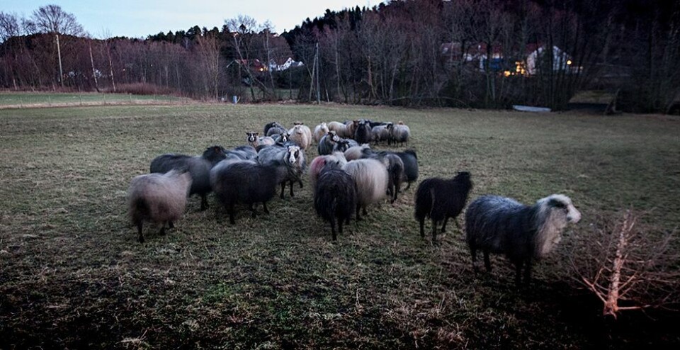 Væren ønsket velkommen