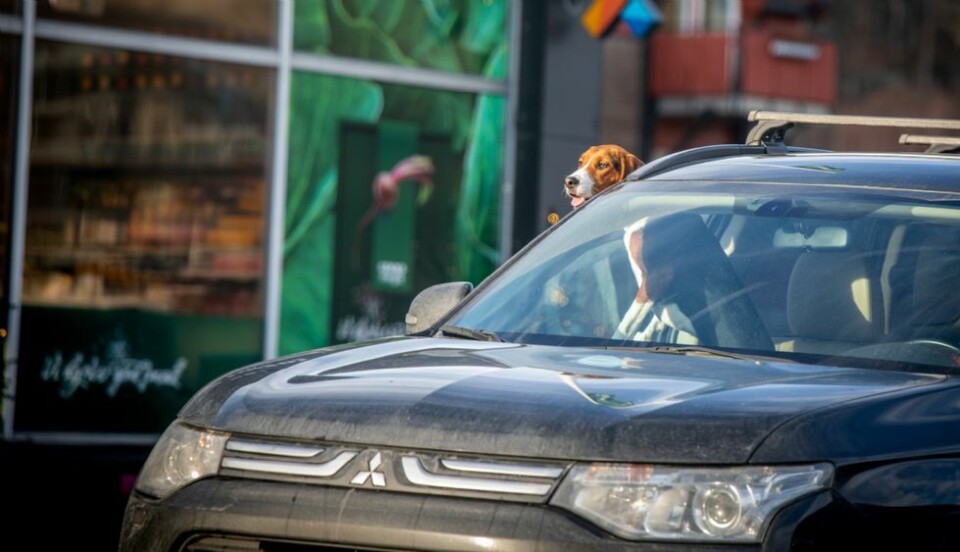 Kjøligere mot helgen