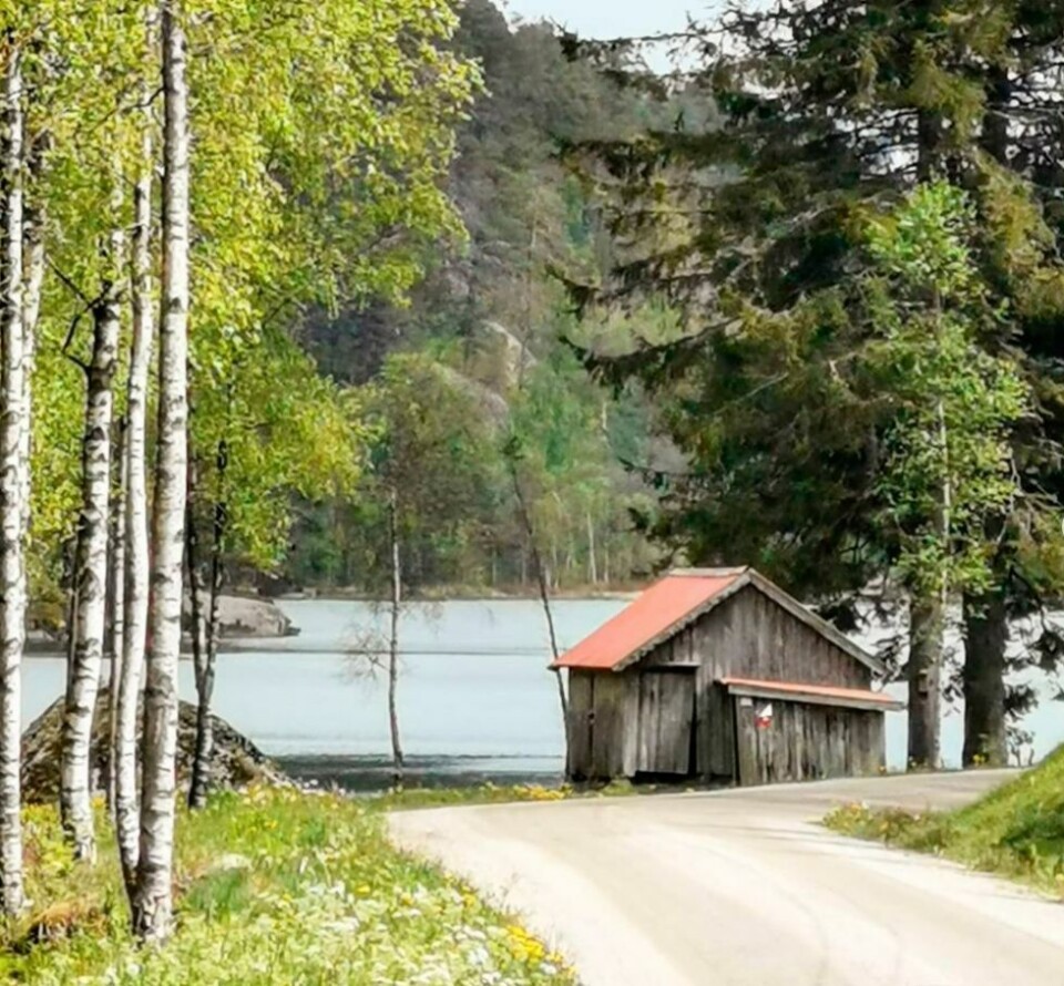 Lesernes feriebilder fra en kald julimåned