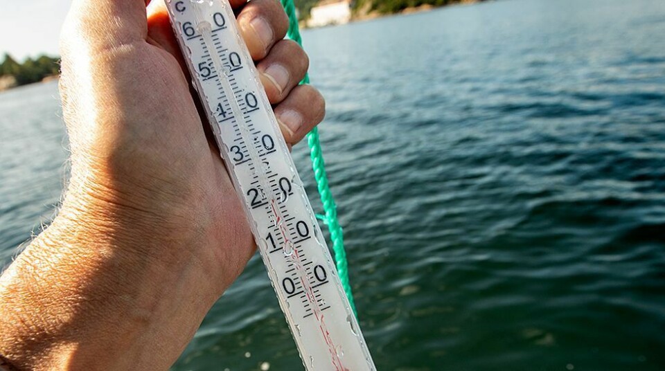 Melder over 30 grader i skyggen torsdag