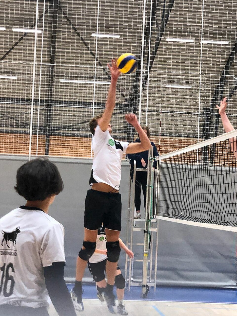 Nytt gull til Søgne IL Volley
