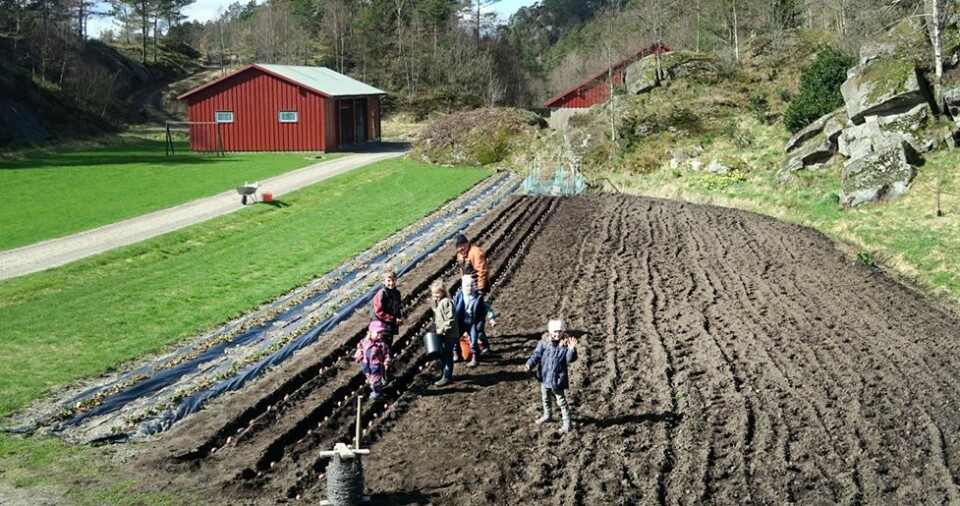 Potethøsting på Tofte