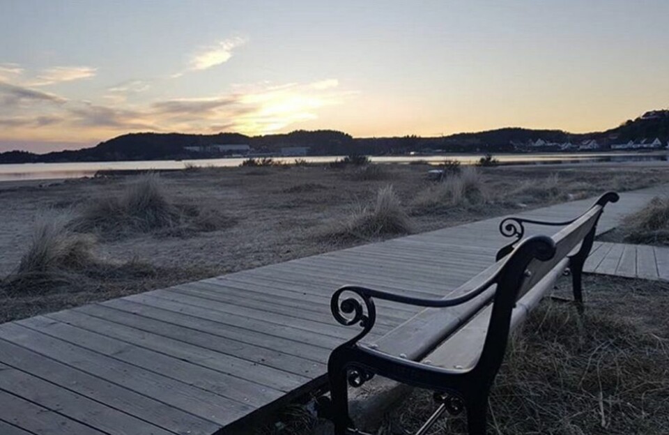 Vårens vinnerbilde på Instagram