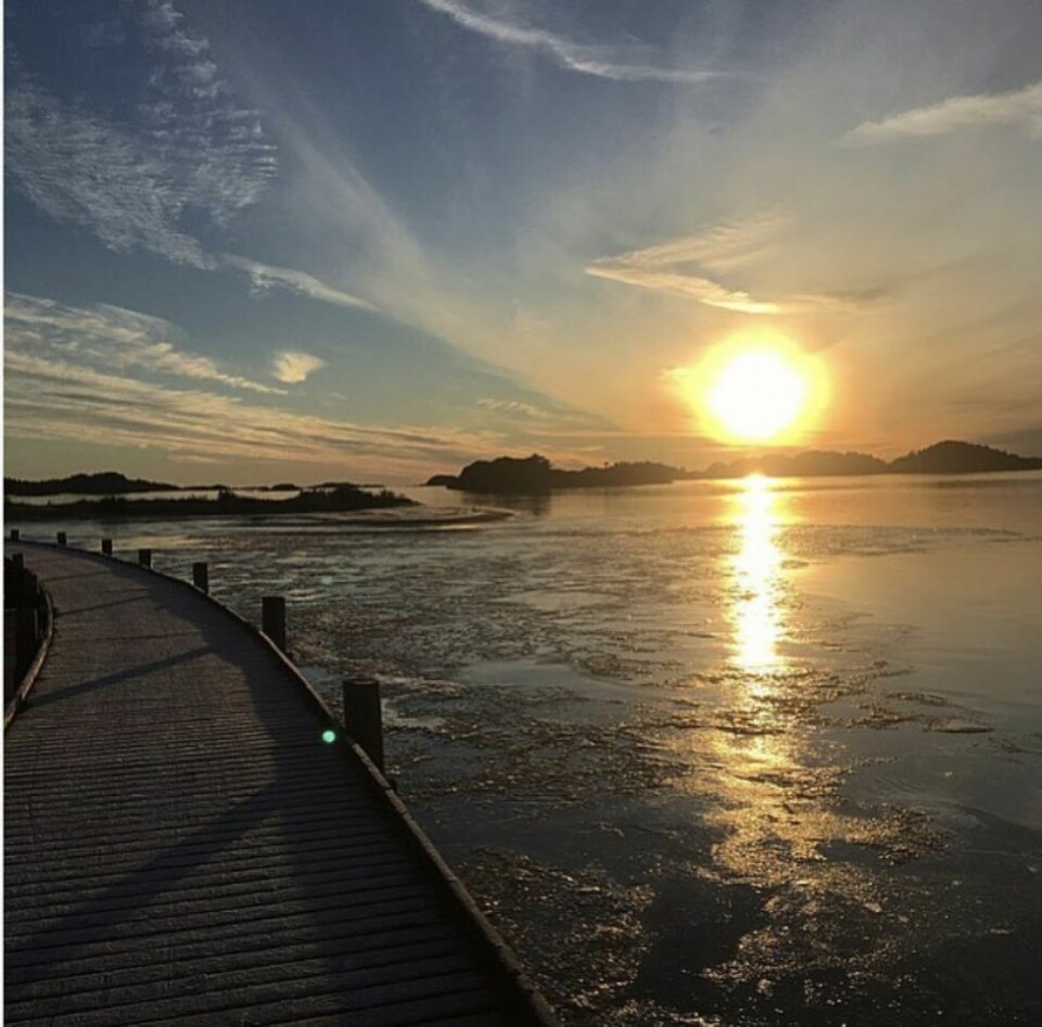 Vårens vinnerbilde på Instagram