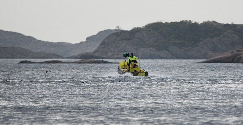 - Vi er her for å forebygge