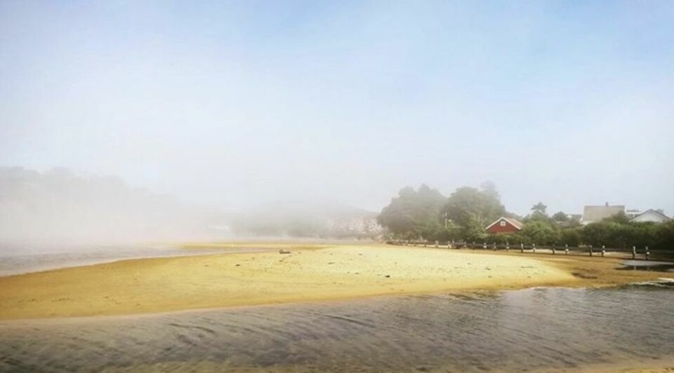 Flere sommerbilder fra leserne
