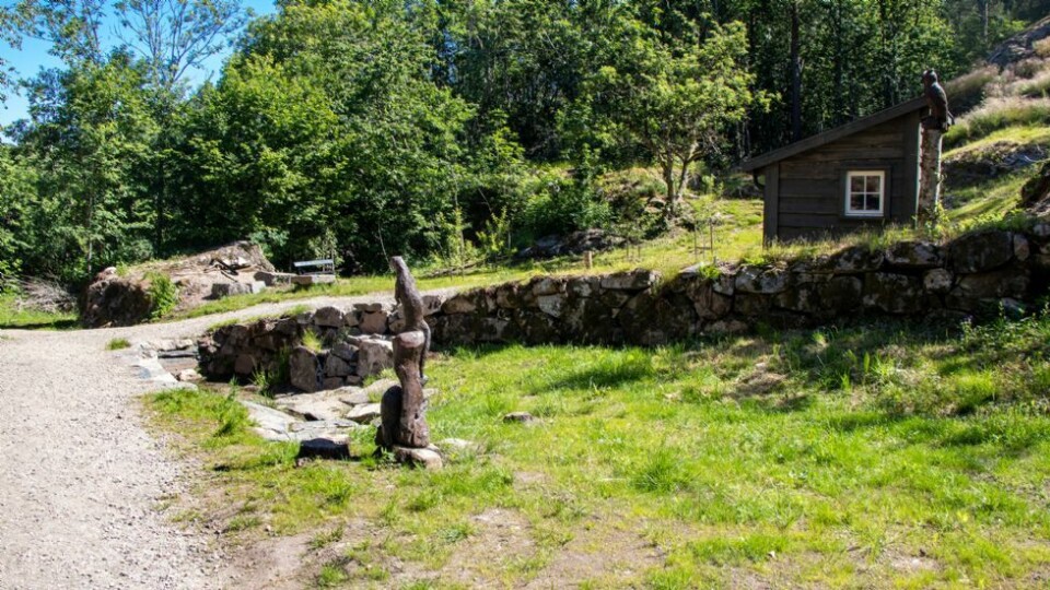 Har restaurert eplehagen Steinva