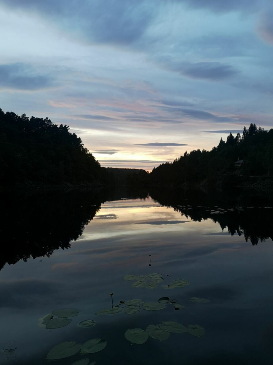 Sesongens siste sommerbilder