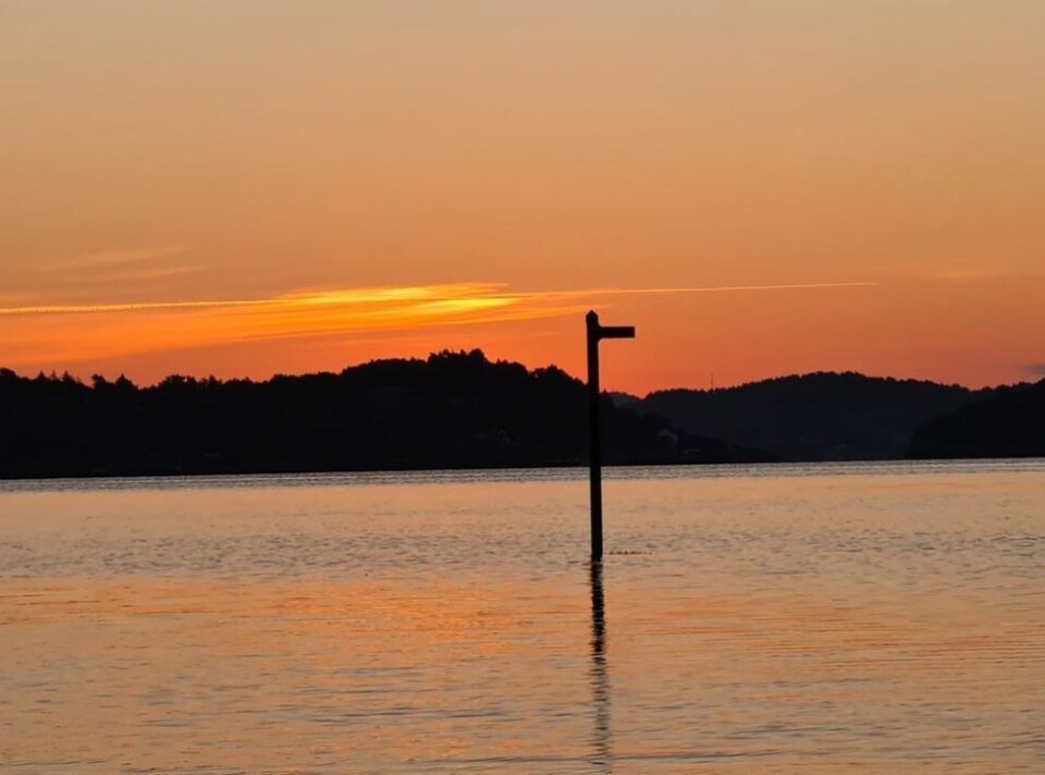 Sesongens siste sommerbilder