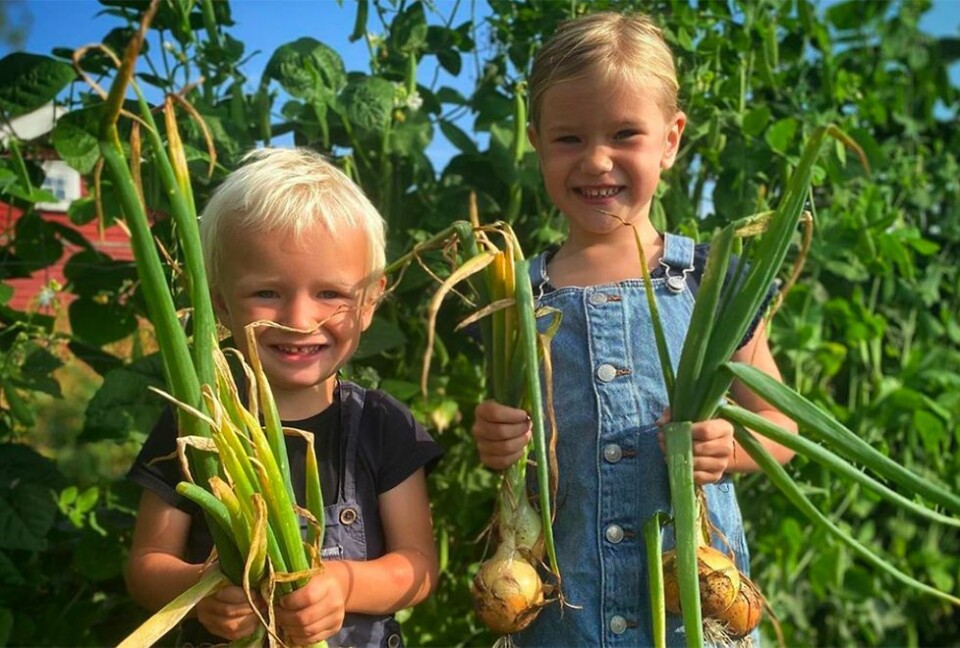 Lesernes sommerbilder: - Pass deg for de sørlandske myrene