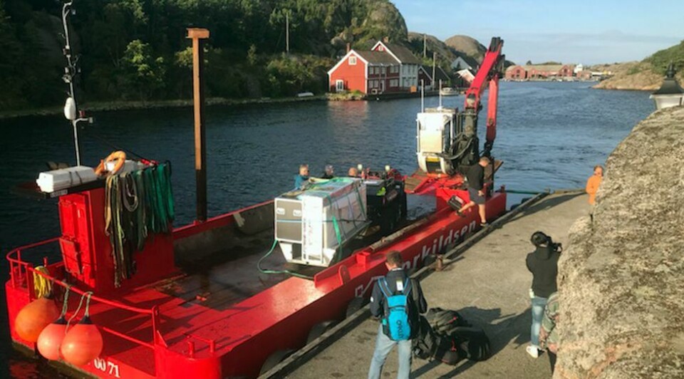 «Morgen i Ny-Hellesund» har kommet til Ny-Hellesund