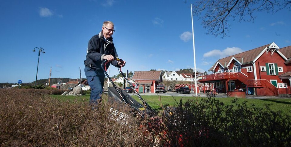 - Ingen isbu i år