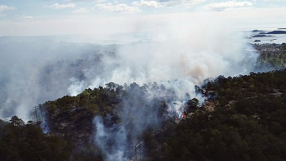 Se dronebilder fra skogbrannen på Kjellandsheia