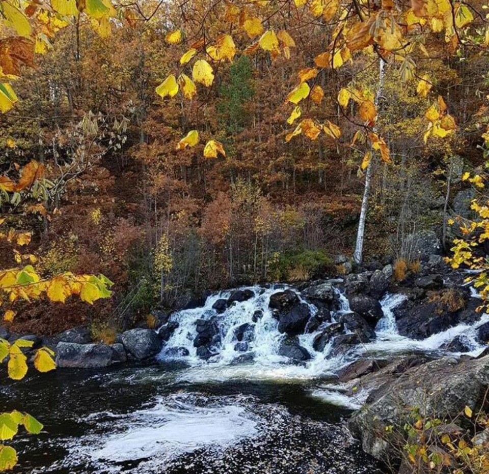 Høsten har kommet: - Del dine beste bilder