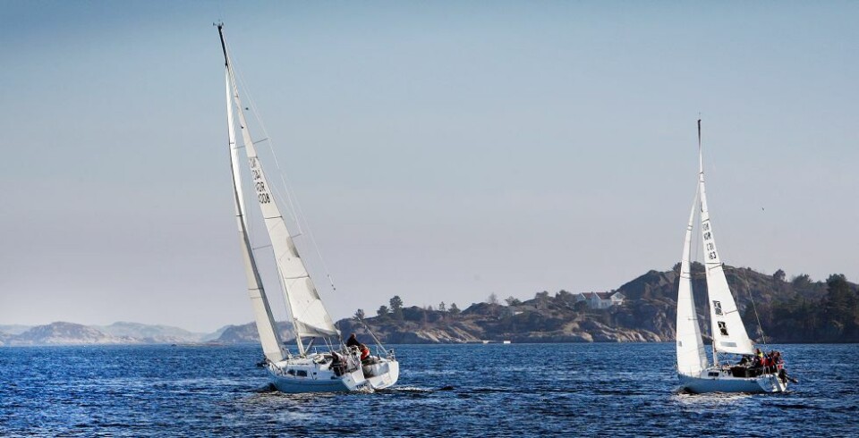 En smak av sommer.....