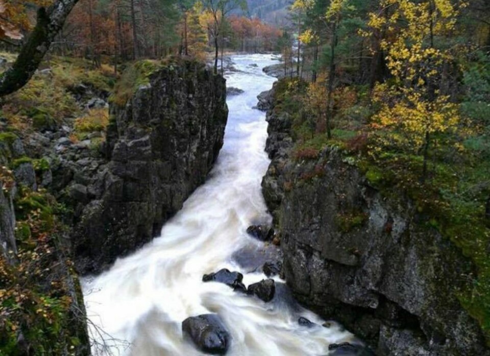 Høsten har kommet: - Del dine beste bilder