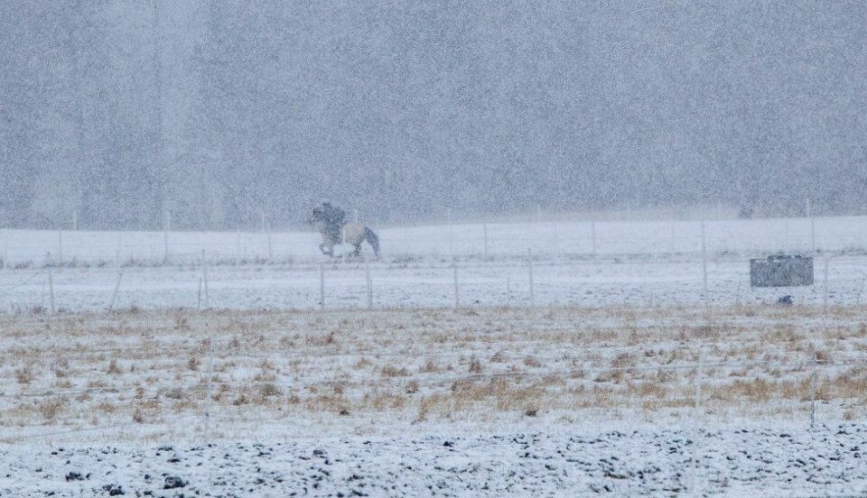 Kan komme opp mot 10 centimeter snø i løpet av dagen
