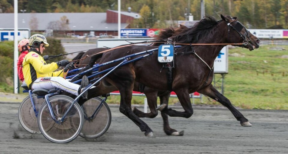 På full fart mot årgangstoppen