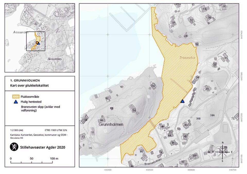 Plukkeaksjon stillehavsøsters 2020 - tjen inntil 20.000 kr