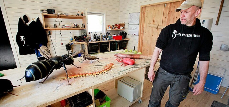 Svære insekter på vei ut