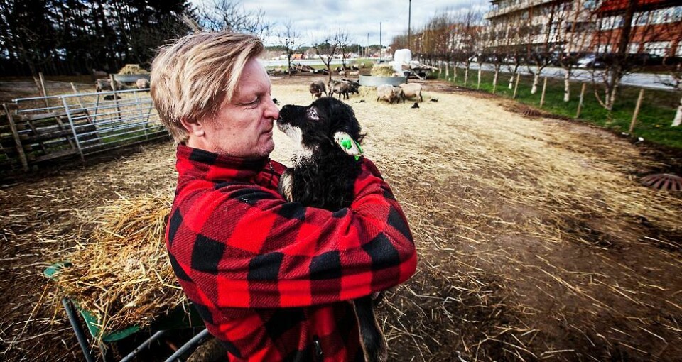 Noen bilder fra året 2016