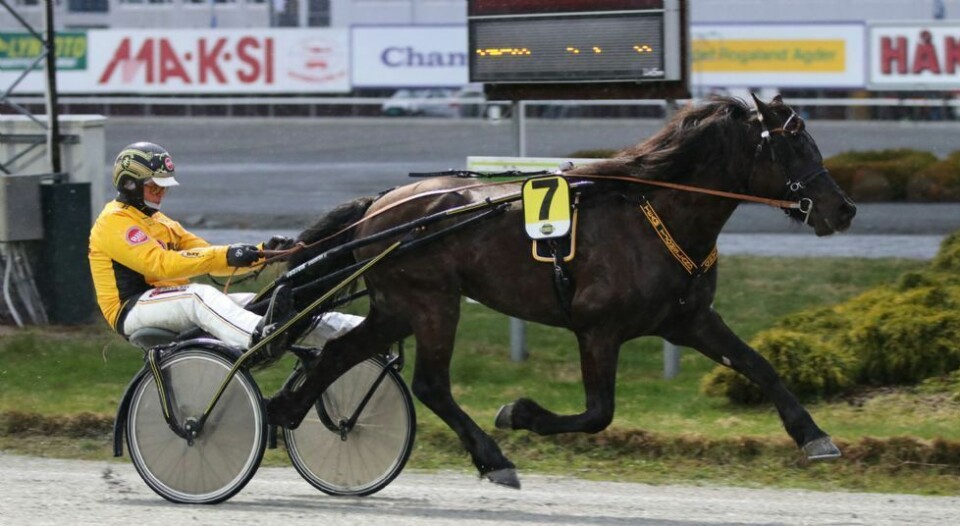 Frida gir tommel opp for Grisle Odin