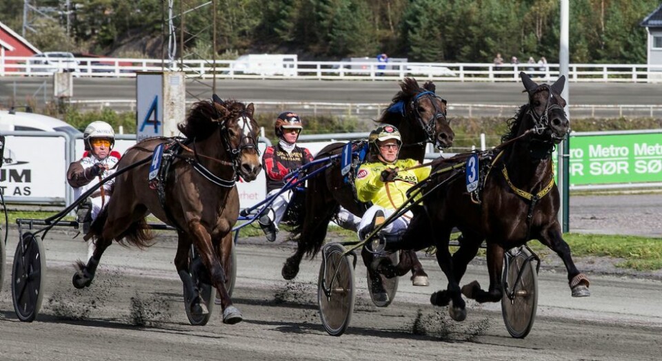 Dramatikk da Finsland-hesten vant V75