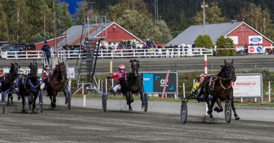 Dramatikk da Finsland-hesten vant V75