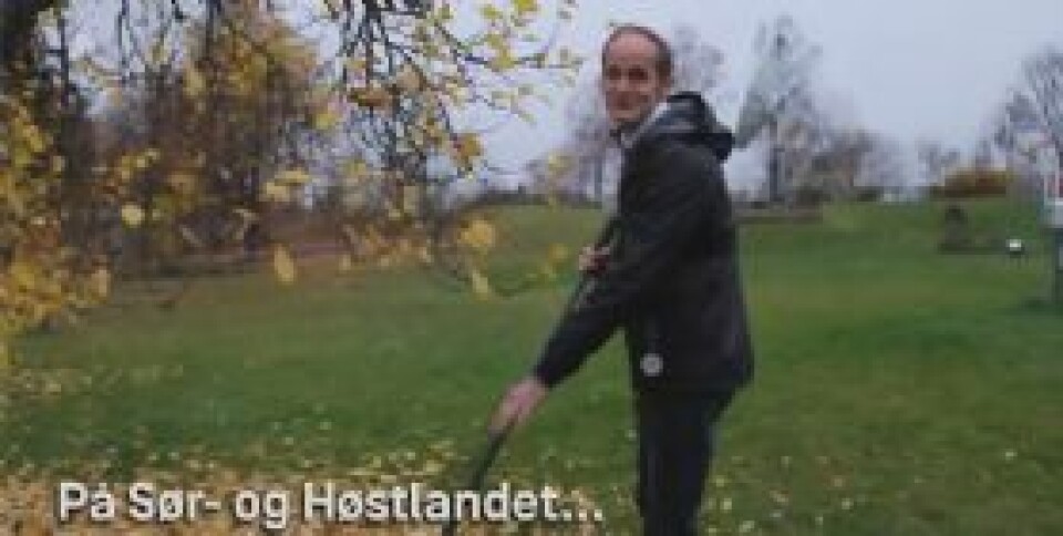 Slik blir helgeværet