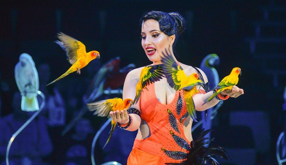 Cirkus Arnardo til Søgne som del av landsomfattende 70-årsfeiring