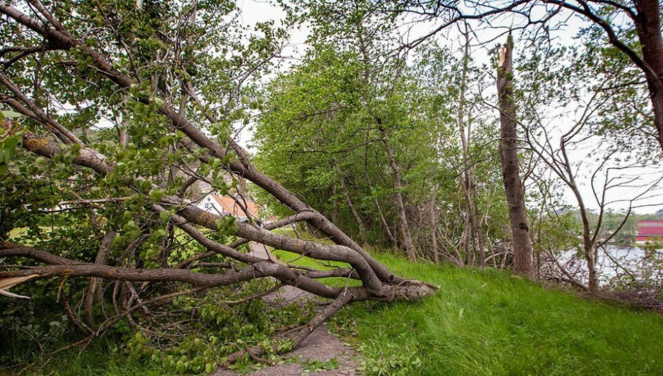 Nedgraderer uværsvarselet for distriktet