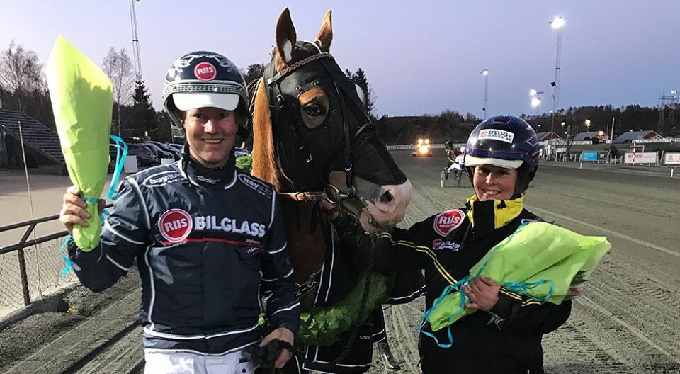 Eventyrhesten ble sørlandsmester