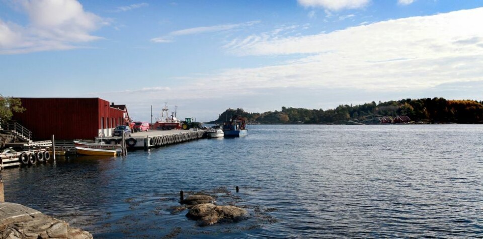Usikkerhet rundt fiskerihavn