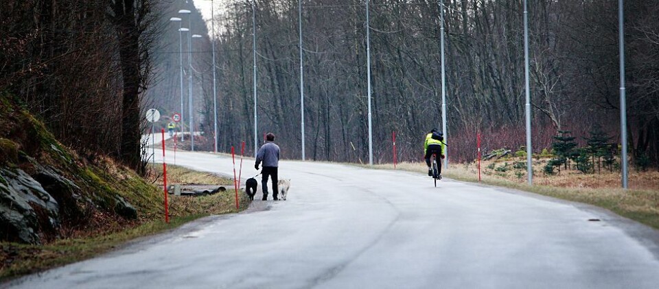Toftelandsveien blir forkjørsvei
