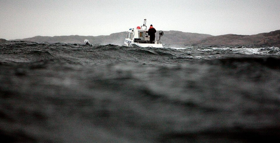 «Frislipp» av dybdedata, en liten gave til hummerfiskerne?