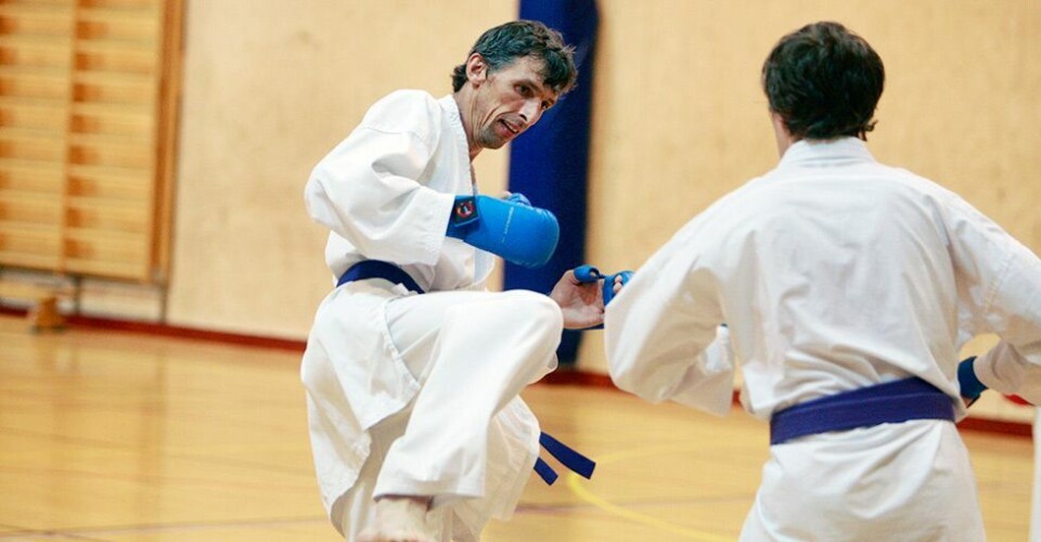 Godt voksne karate-triumfer