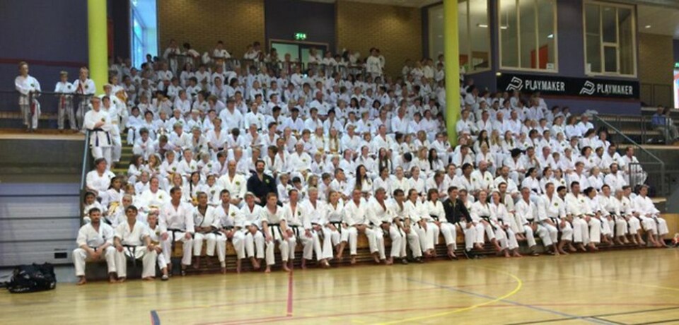 Godt voksne karate-triumfer