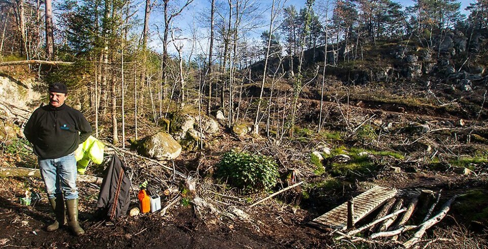 Linnåsdagen: - Løypene er klare