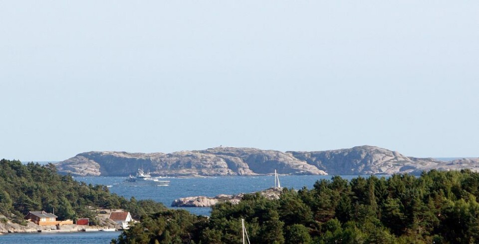 Dette fant brannvesenet på Høgholmen