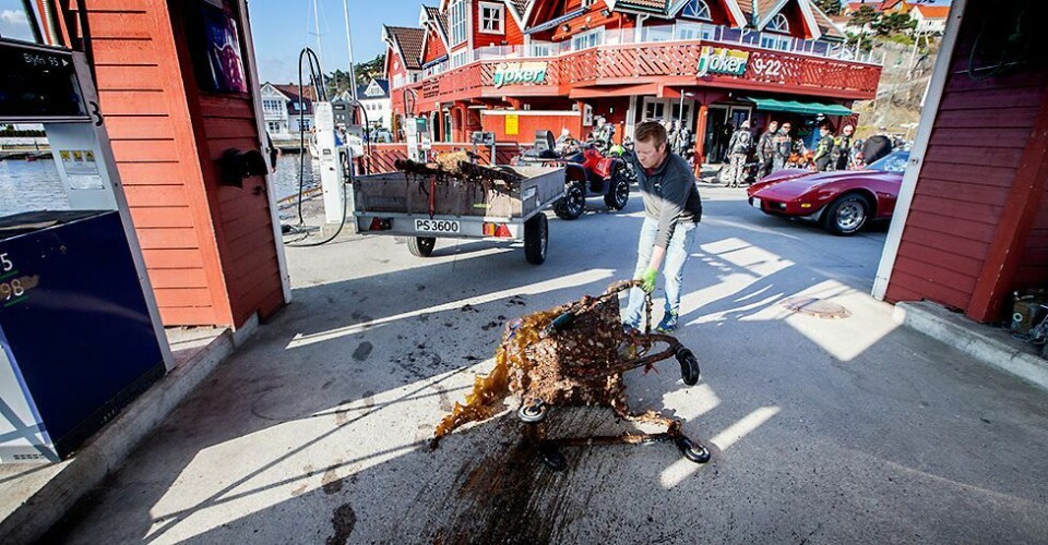 Ny stordugnad i Høllen