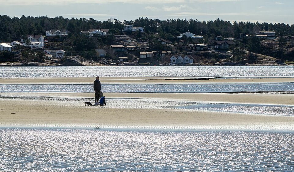 «I Sør-Norge ventes vårlige temperaturer»
