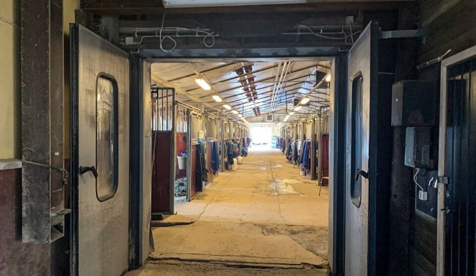 Tjomsland utvider: Over 160 hester i stallen