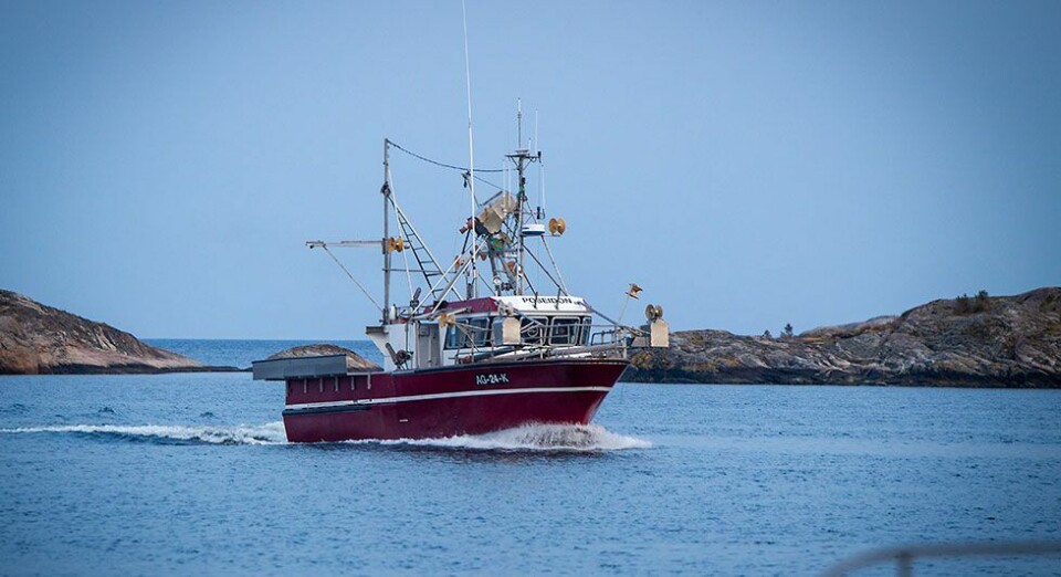 Landet nær 300 kilo danskekrabber