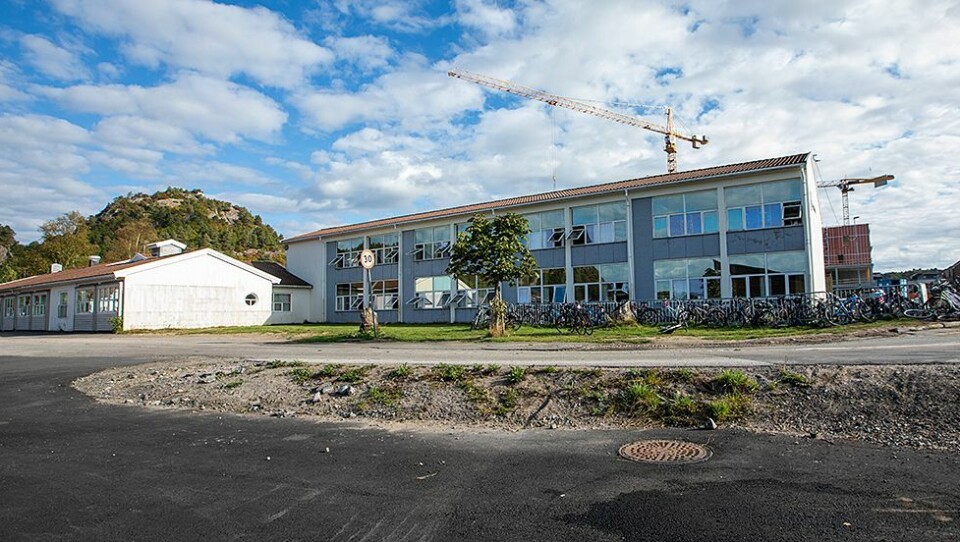 8. klasse ved Tangvall skole først ute med vaksine