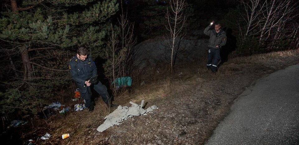 Makabert funn ved Langenesveien