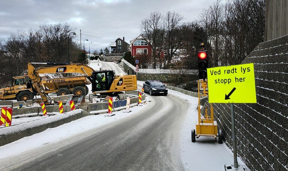 Et heller sjeldent syn på Flekkerøy