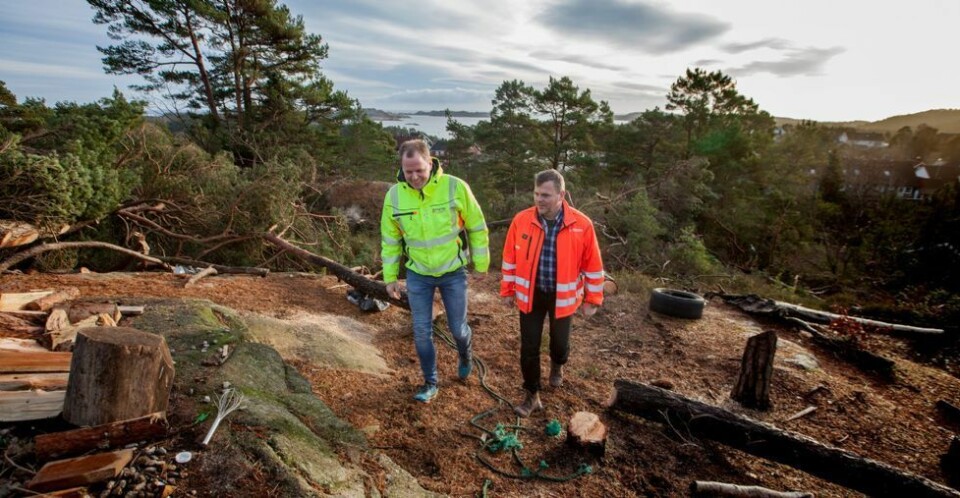 Åroshøyden: - Alle tomtene solgt på under halvåret